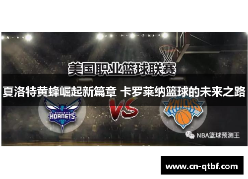 夏洛特黄蜂崛起新篇章 卡罗莱纳篮球的未来之路