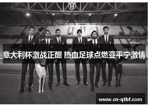 意大利杯激战正酣 热血足球点燃亚平宁激情