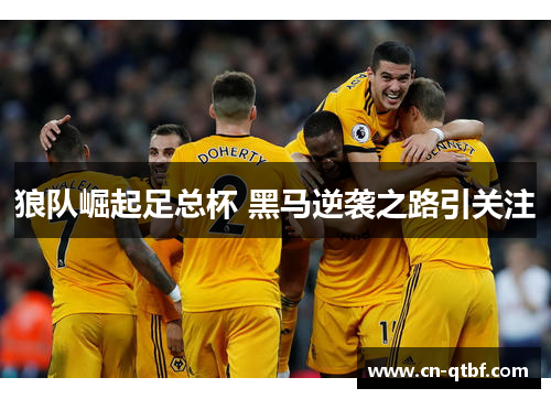 狼队崛起足总杯 黑马逆袭之路引关注